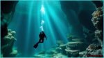 Exploring the Depths: the Fascinating World of Jonas Dive