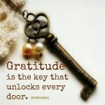 The Key to Gratitude and Connection