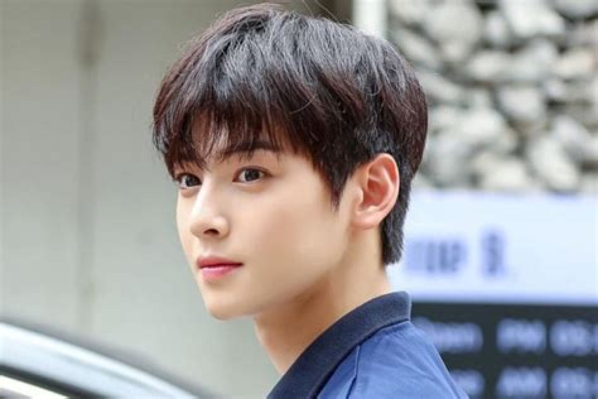 Unveiling Cha Eun Woo's English Speaking Skills