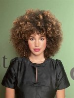 Unveiling Sofia Wylie's Diverse Ethnic Heritage: a Journey of Discovery